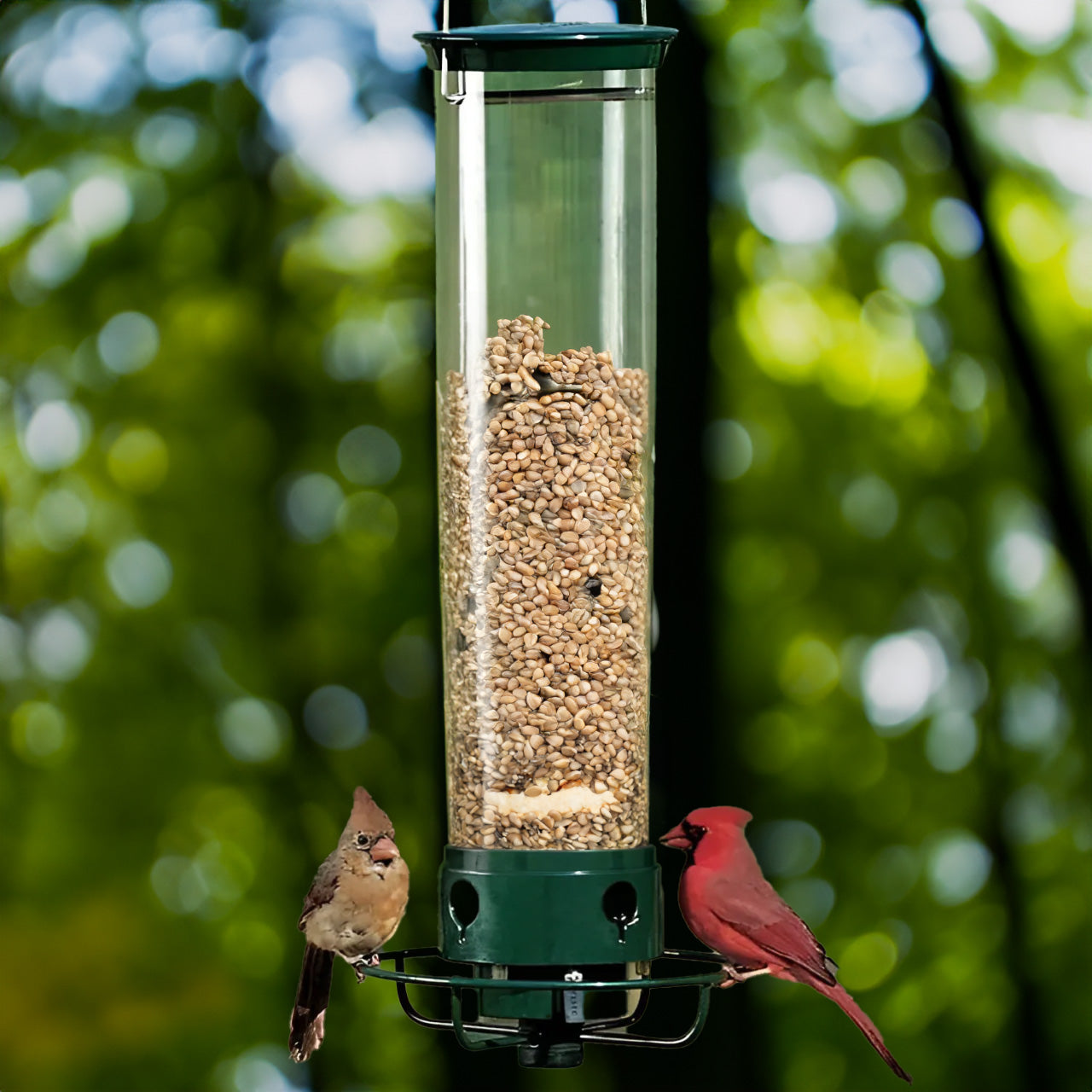 Squirrel-proof bird feeder