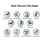 Bird feeder seed capacity