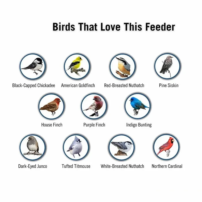 Squirrel-proof bird feeder specifications