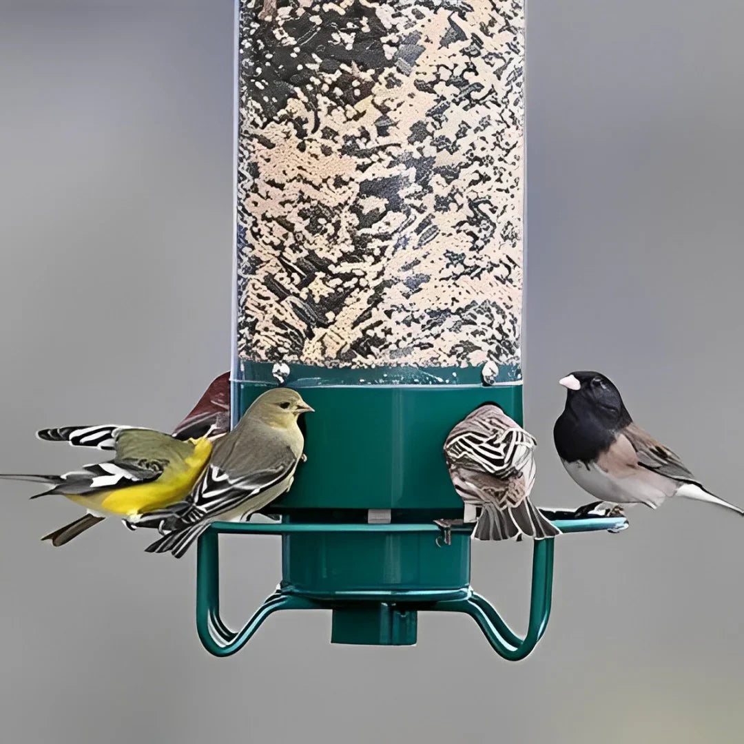 Squirrel-proof bird feeder feeding ports