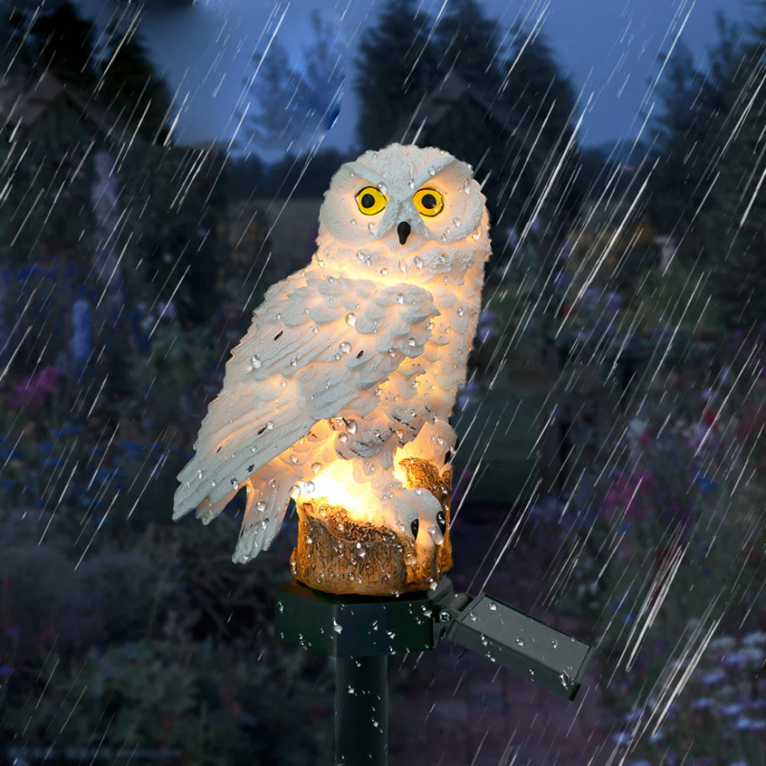 Solar owl garden light on pathway
