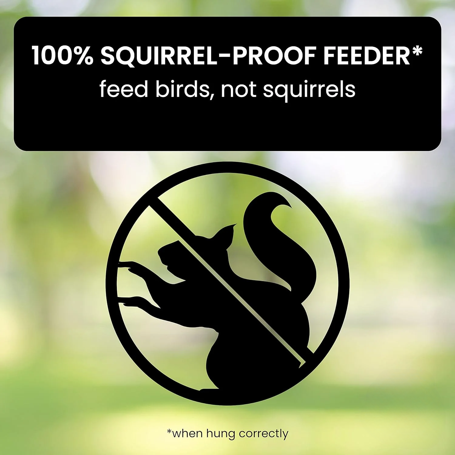 Squirrel-proof bird feeder detail
