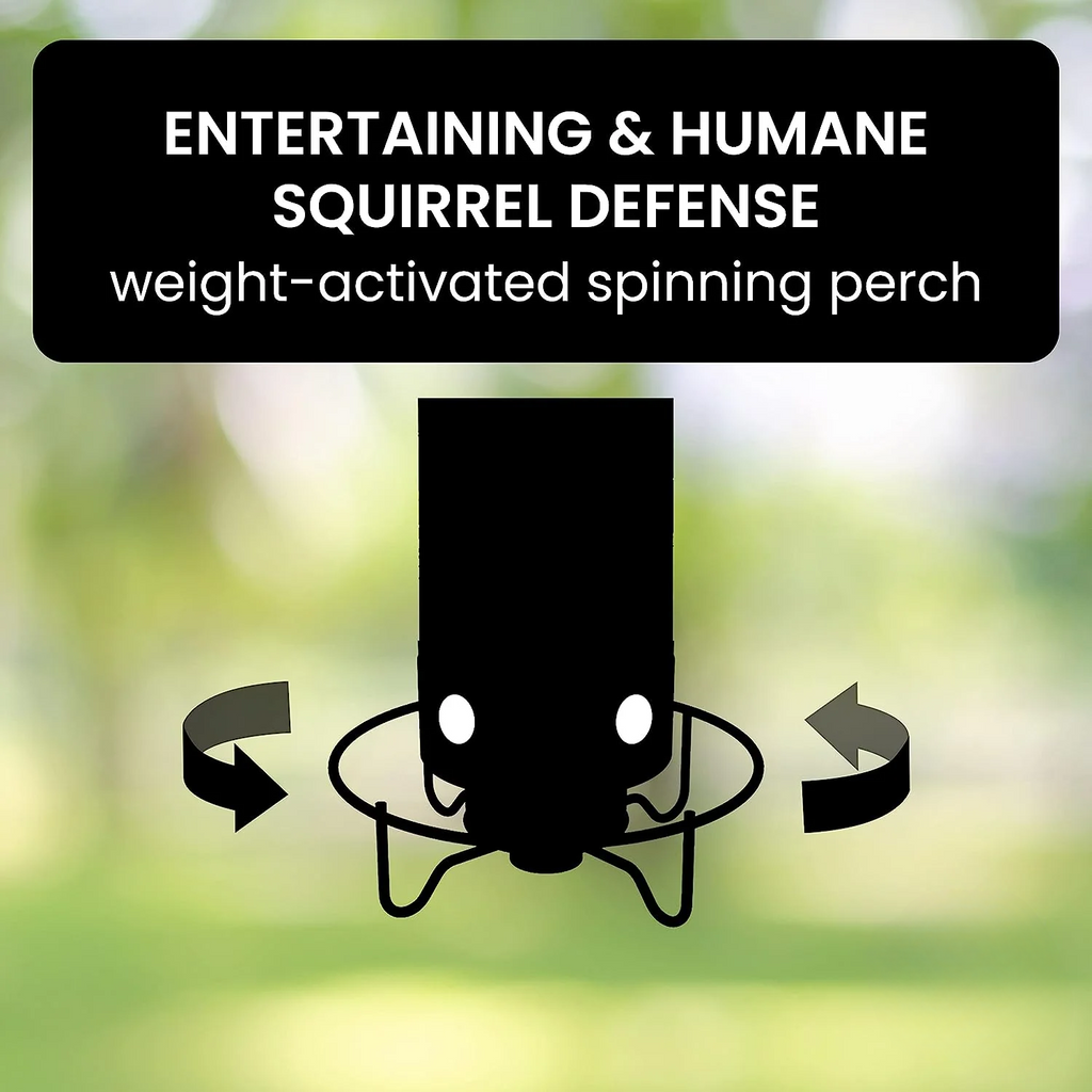 Squirrel-proof bird feeder detail