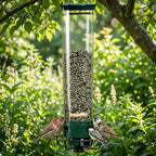 Squirrel-proof bird feeder in a garden