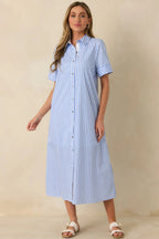 Women's Pretty in Pinstripes Blue Cotton Stripe Button Front Maxi Shirt Dress | 100% Cotton 2