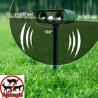 Pest repeller outdoor placement