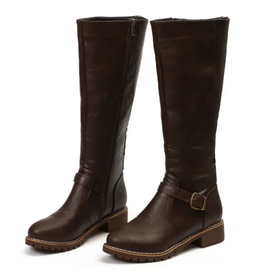 Women's ankle boots brown angle